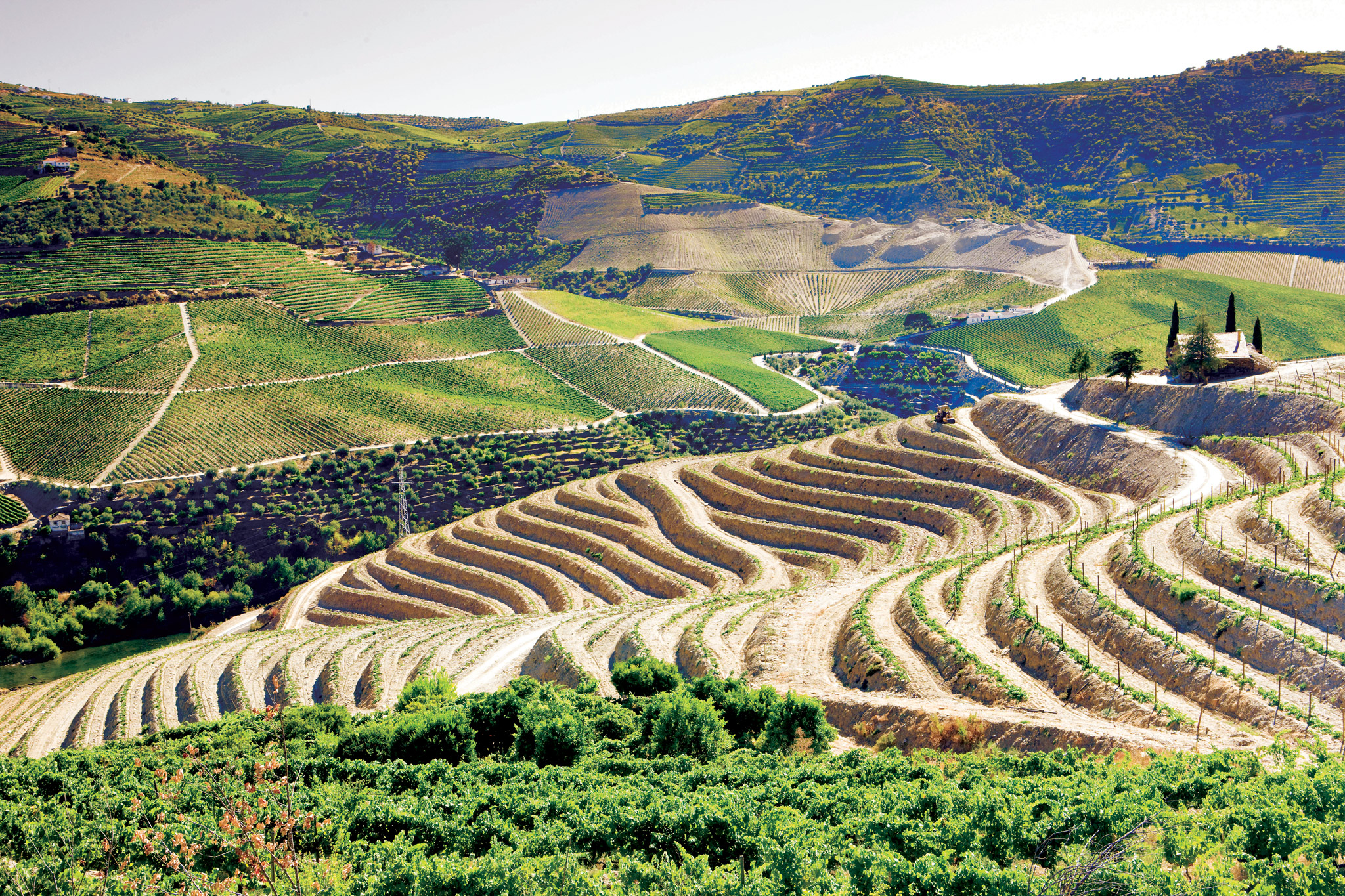 La vallée du Douro et ses vignobles - Porto | Transat