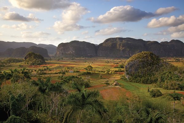 Day tour to Viñales, Havana