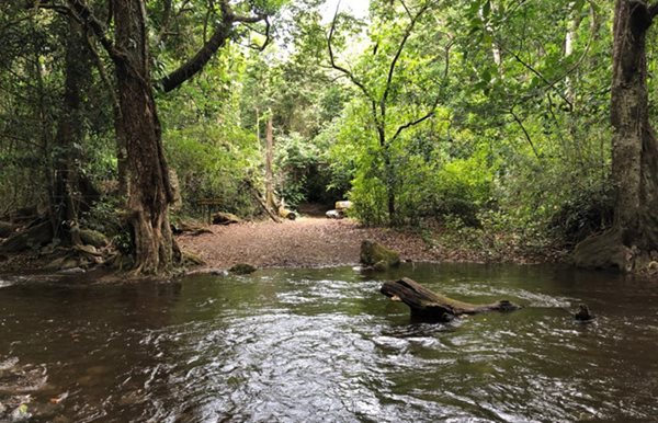 Jungle Cruise Half Day