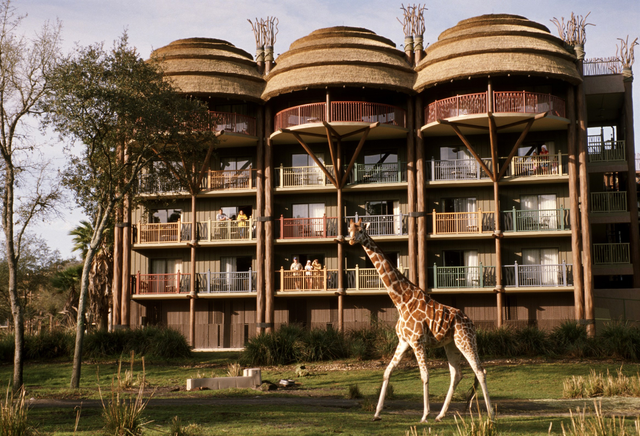 disney magic kingdom hotels where you can see animals