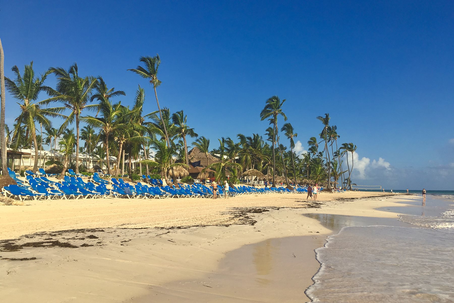 Vik Hotel Arena Blanca Punta Cana Transat
