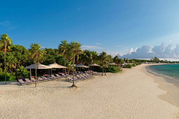 Plage, Paradisus Playa del Carmen Riviera Maya