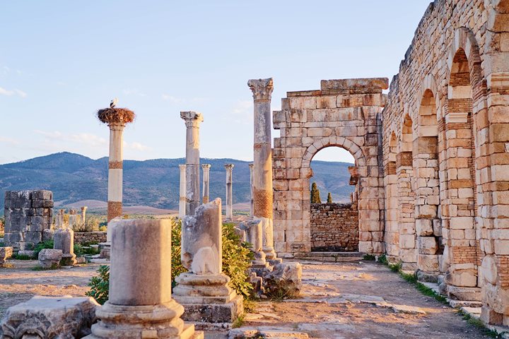 Site archéologique Volubilis0