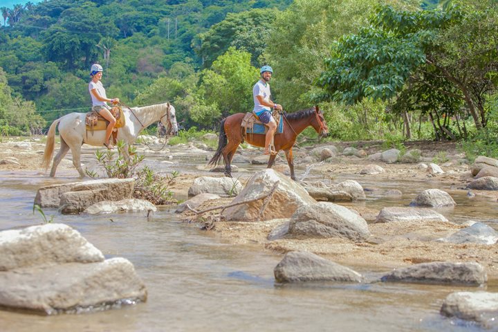 Puerto Vallarta Sea Safari, Mexico2