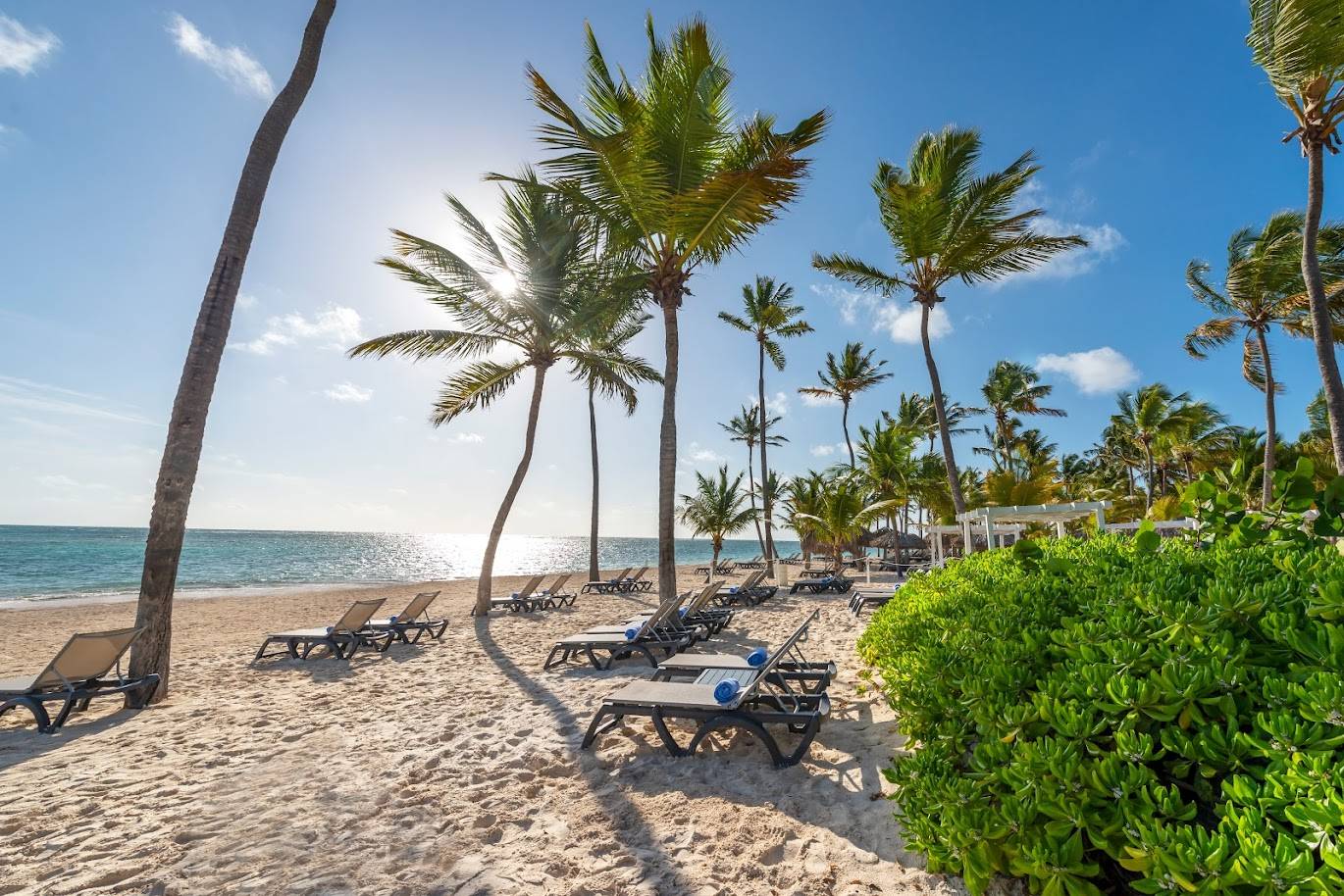 Beach, Catalonia Bavaro Beach, Golf & Casino Resort, Punta Cana
