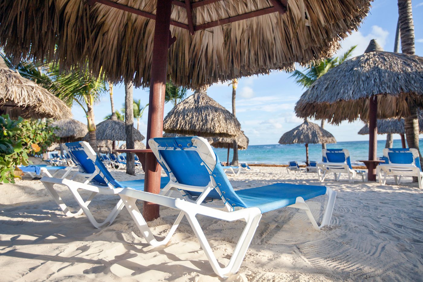 Activities and excursions Grand Bahia Principe Punta Cana Punta Cana Transat