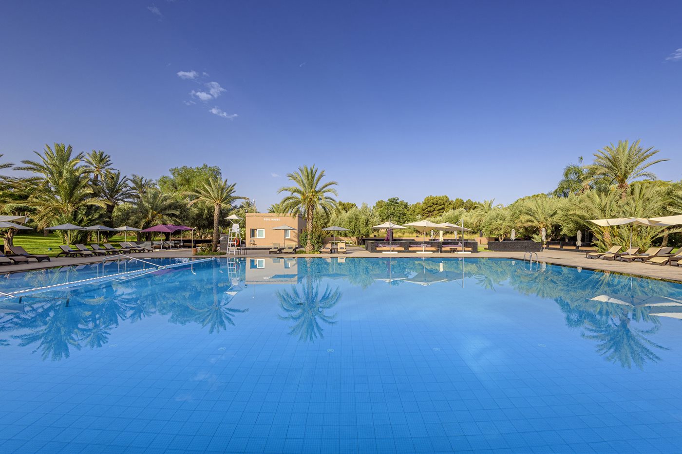 Pool, Barceló Palmeraie, Marrakesh