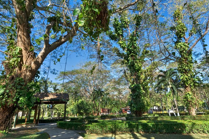 Hôtel, CC Beach Front Papagayo, Liberia