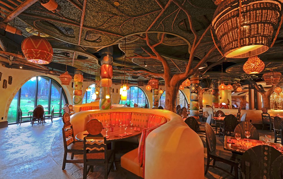 Disney Animal Kingdom Restaurants Best Disney Animal Kingdom Restaurants Best