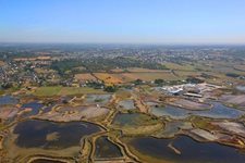 salt marshes of Guérande