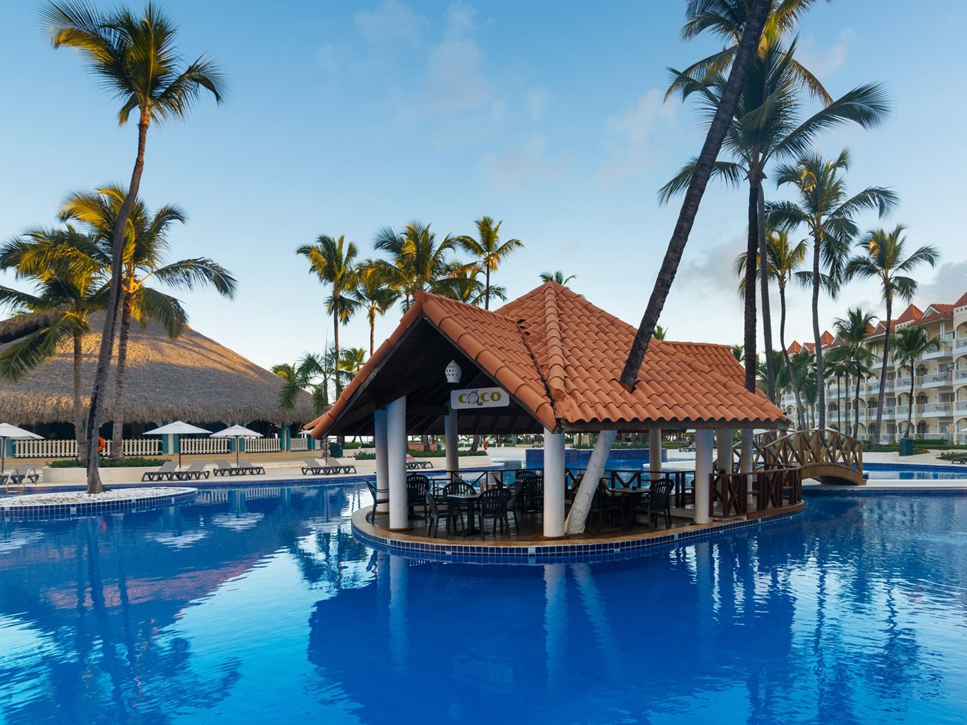 Bar Palmera, Occidental Caribe