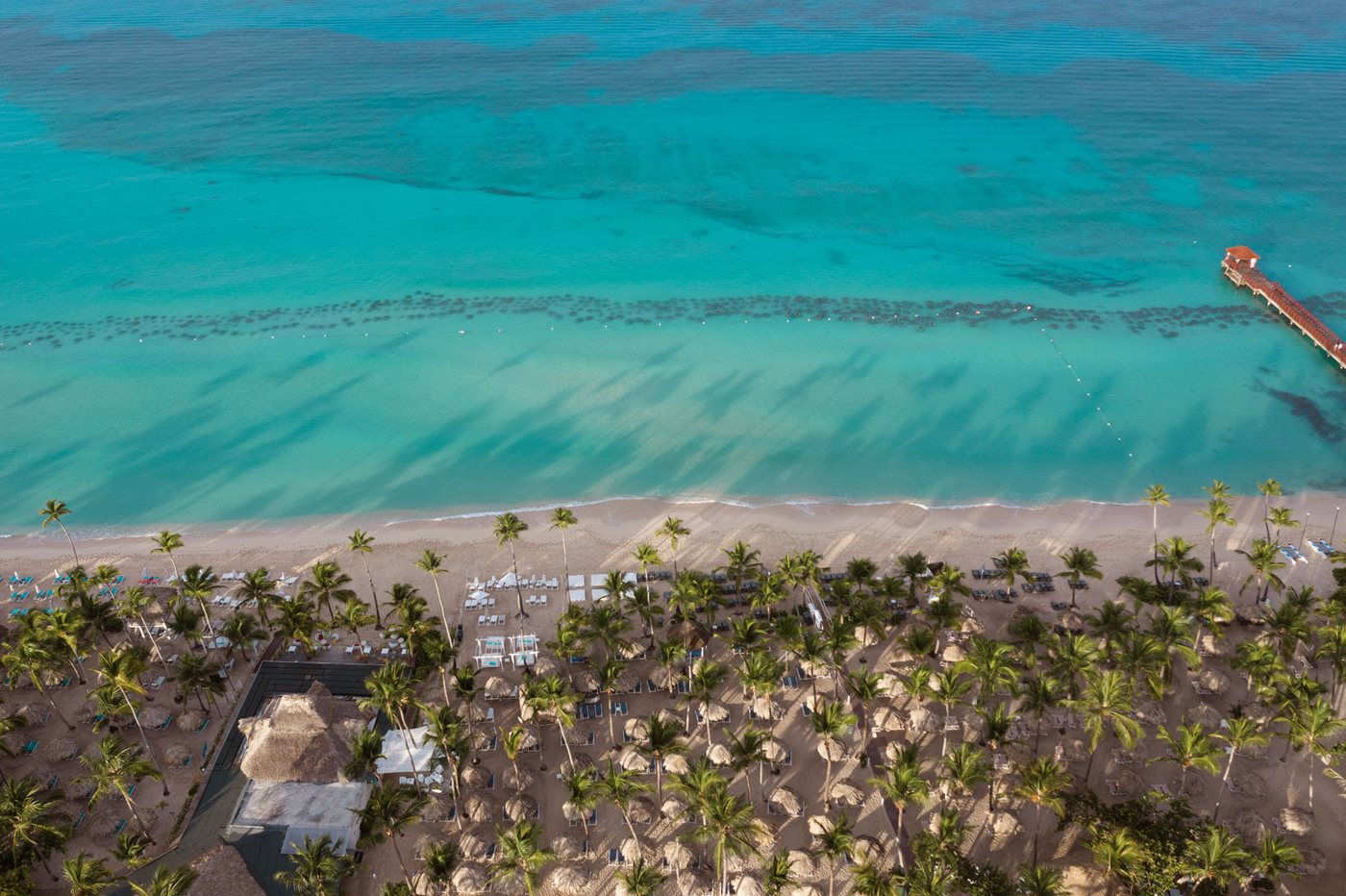 Photos and videos - Catalonia Royal La Romana - La Romana | Transat