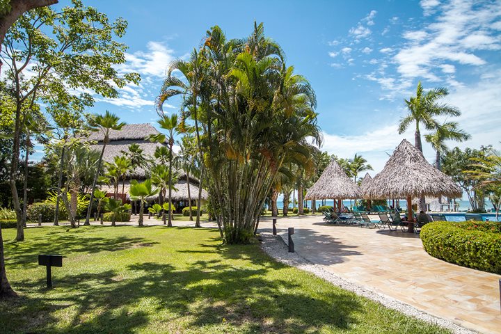 Jardins, Barceló Tambor, Tambor