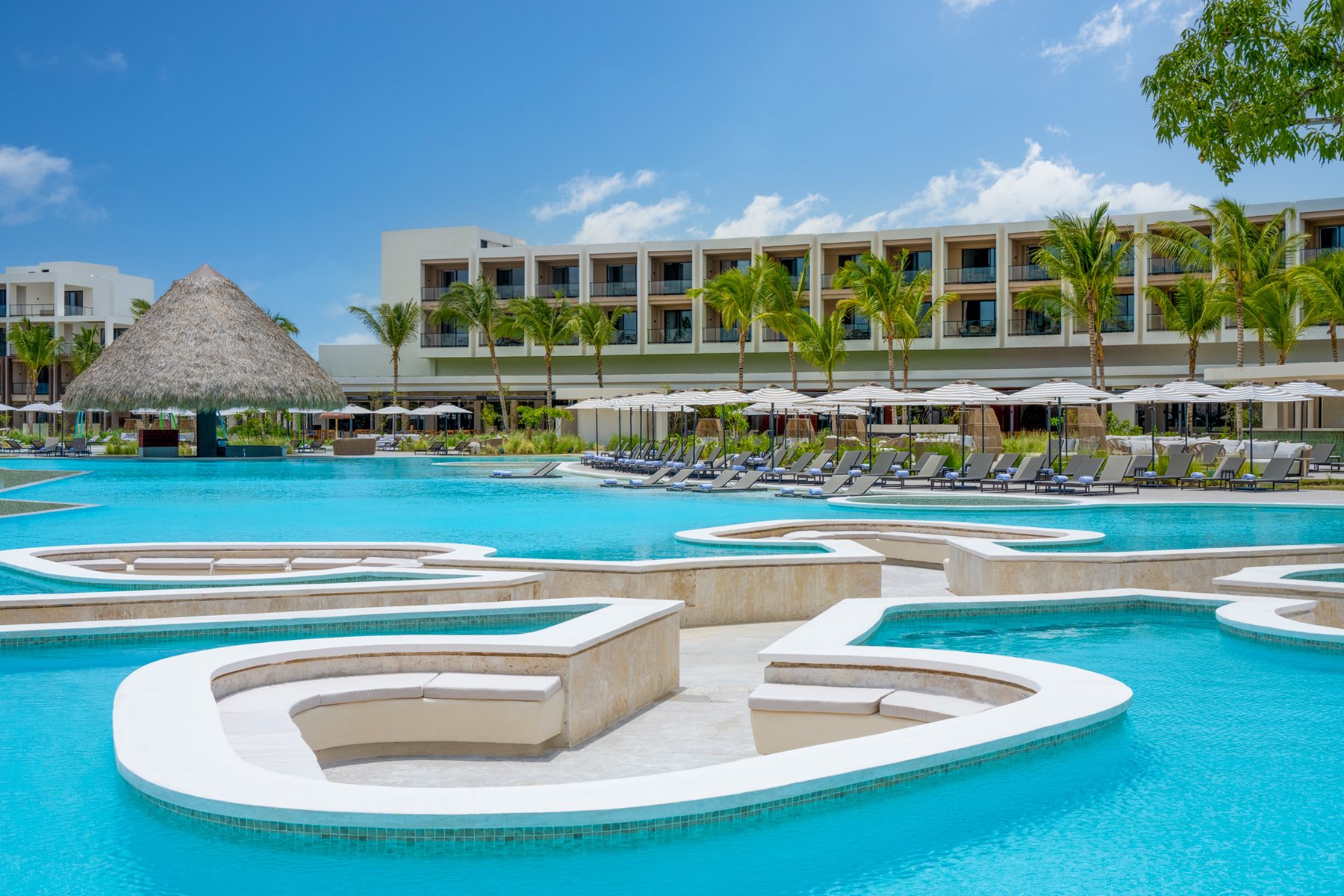 The Dominican is calling!