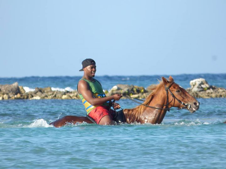 Horseback Riding, Jamaica0