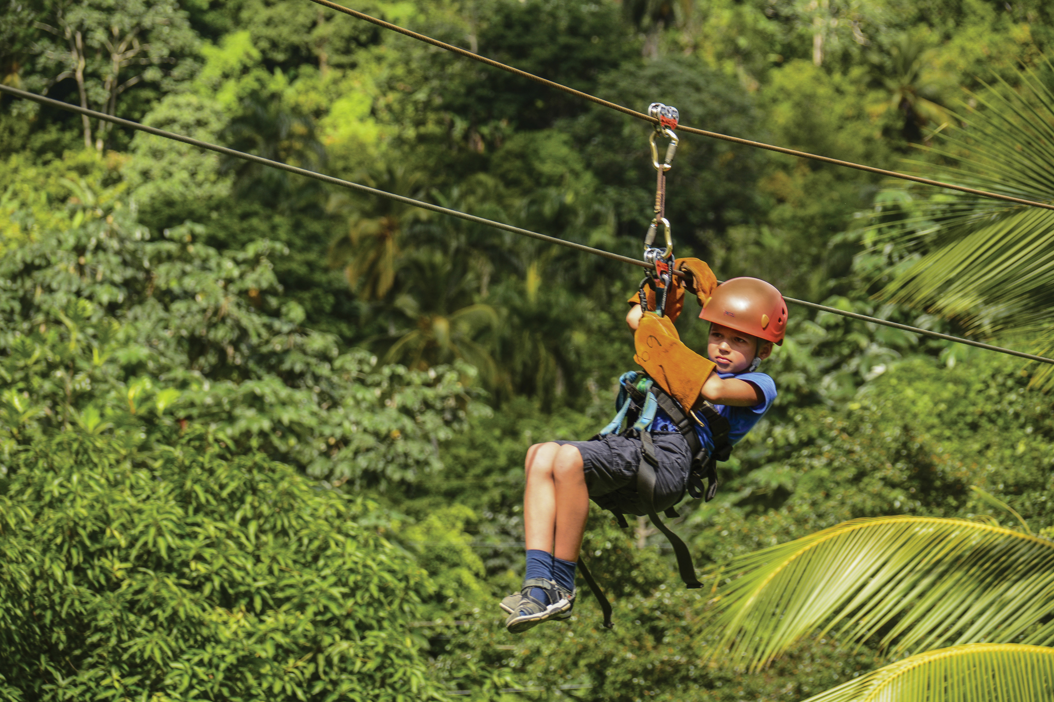 Excursion Zip Line Adventure Punta Cana Transat