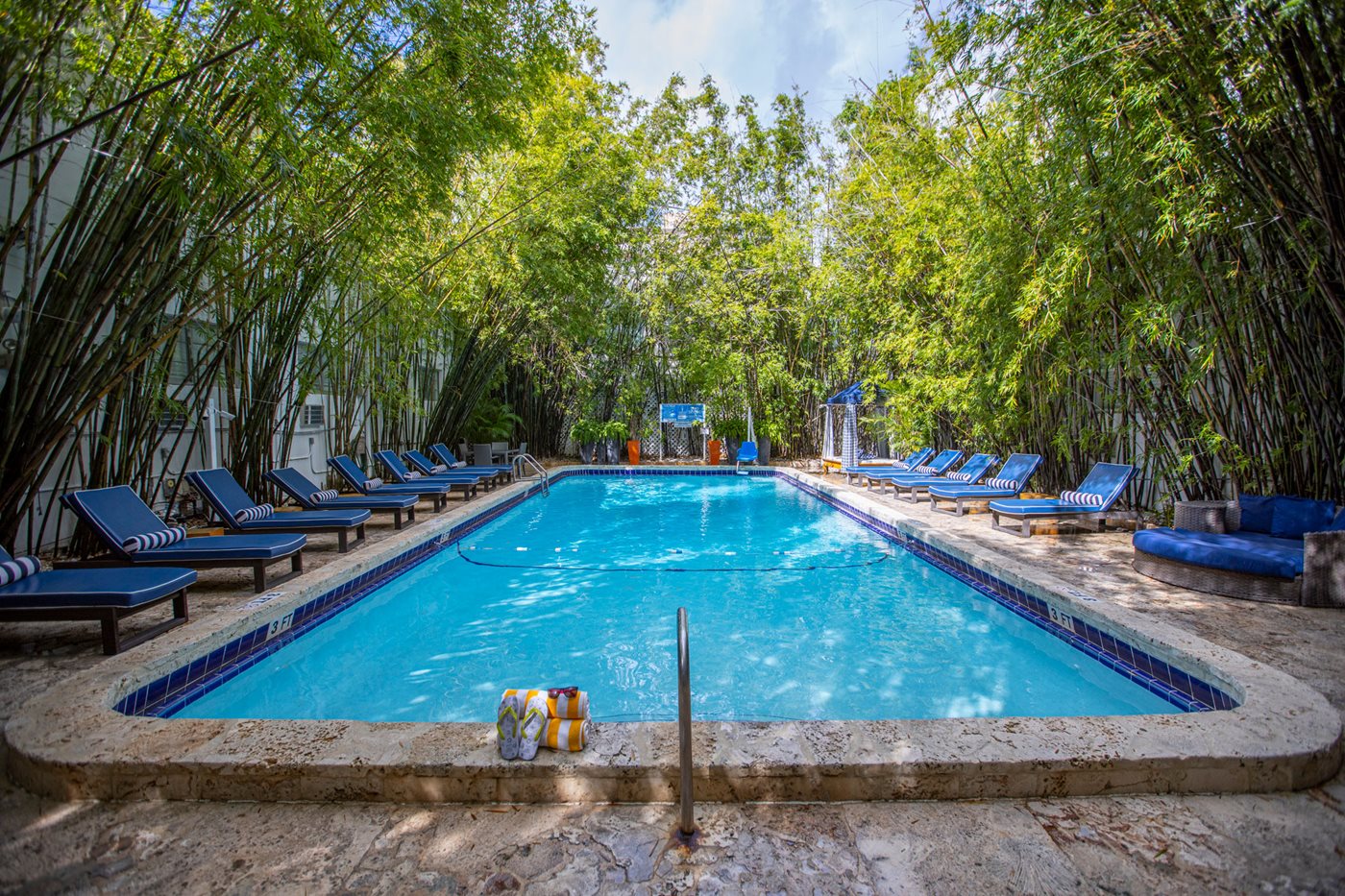 Pool, The Catalina Hotel & Beach Club, Miami