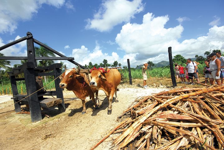 Bavaro Runners, République Dominicaine1