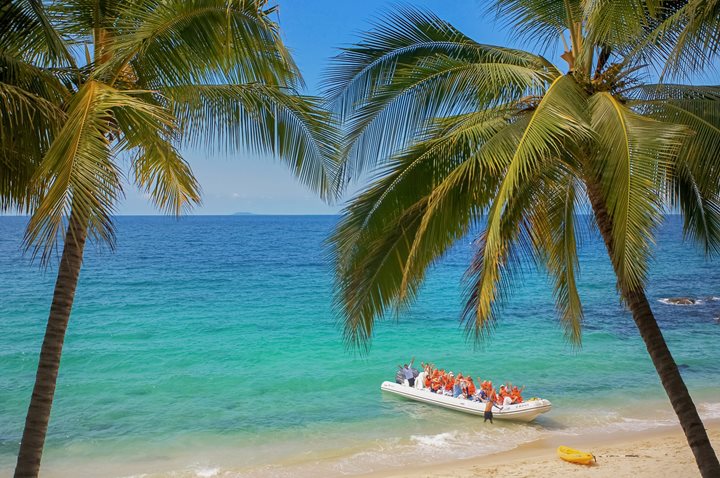 Puerto Vallarta Sea Safari, Mexico0