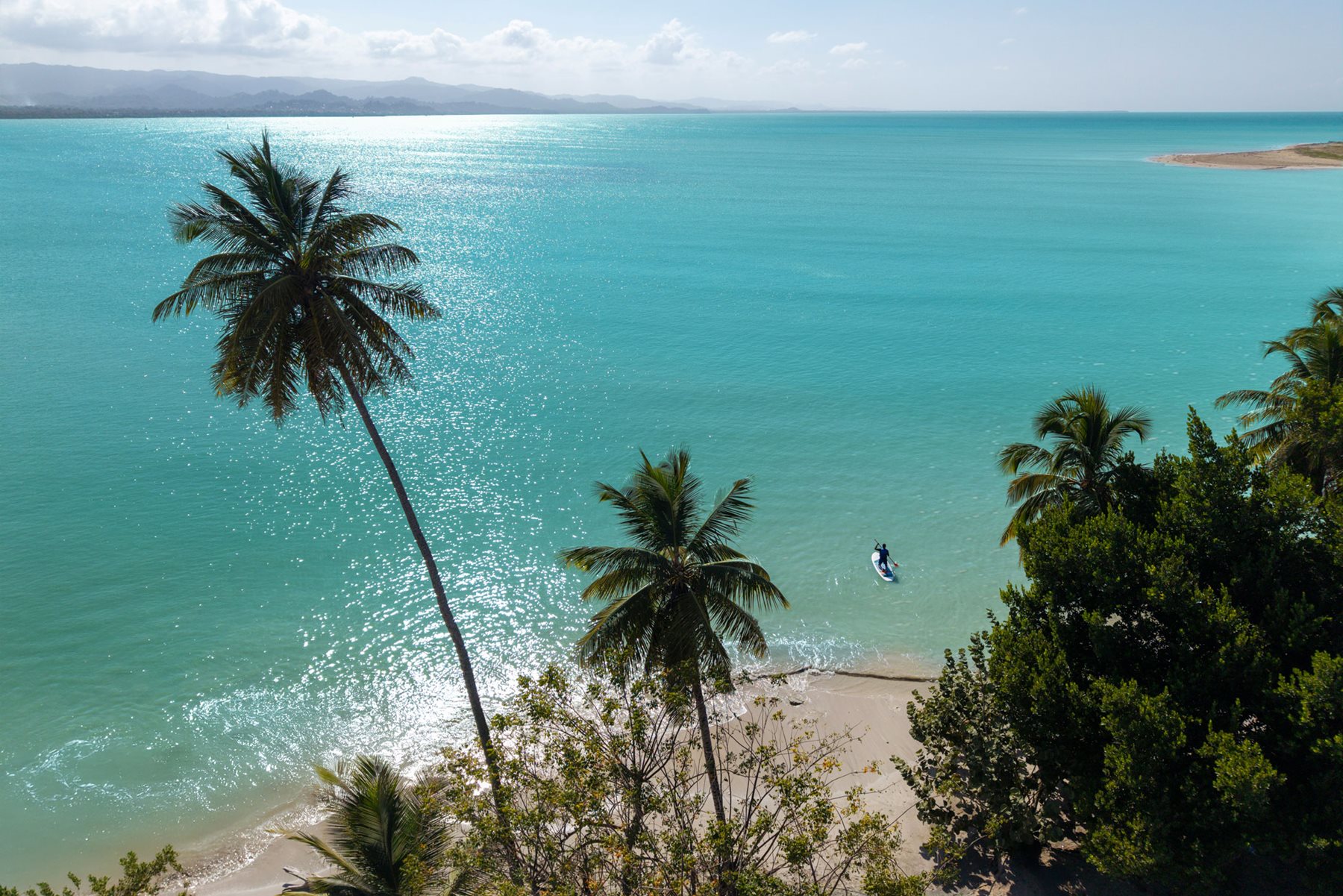 Featured Promotion Image