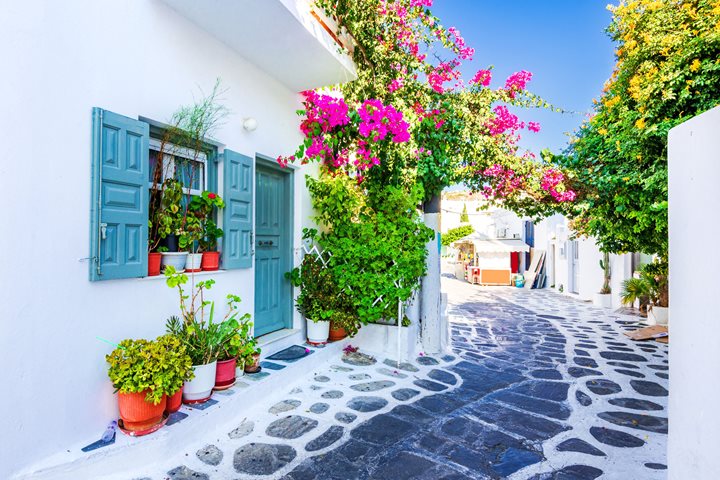 Alpha - Mykonos1