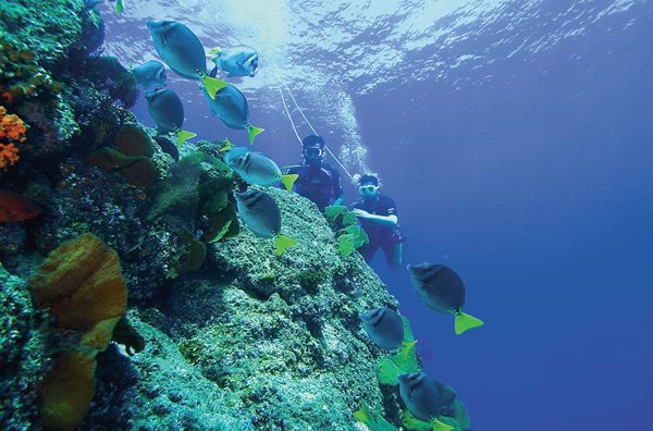 Half Day Snorkelling, Cuba