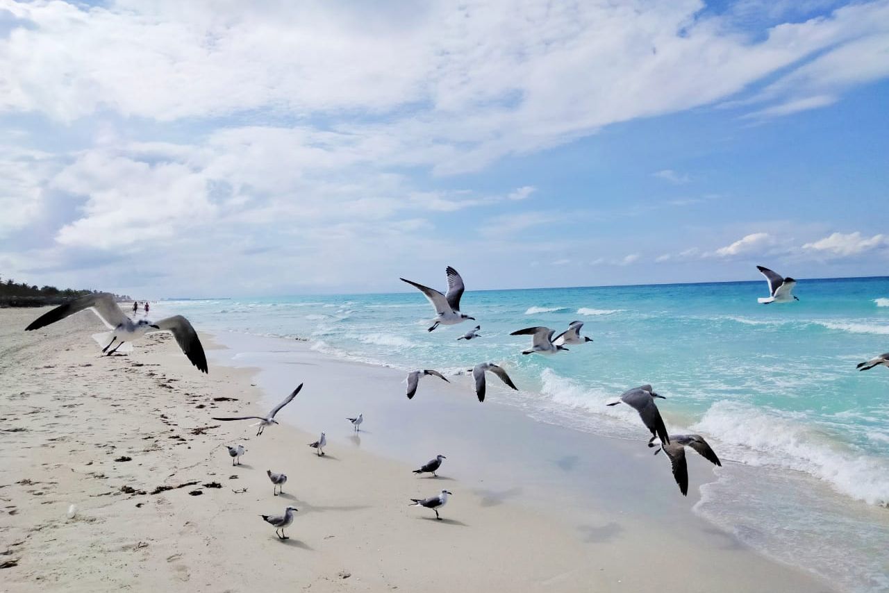 Plage, Hotel Tuxpan, Varadero